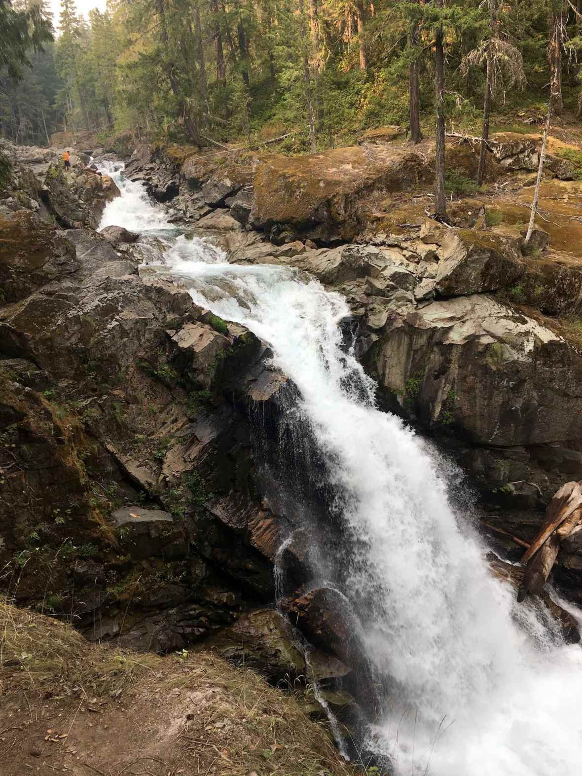 Silver Falls of the Ohanapecosh River in Mt Ranier National Park