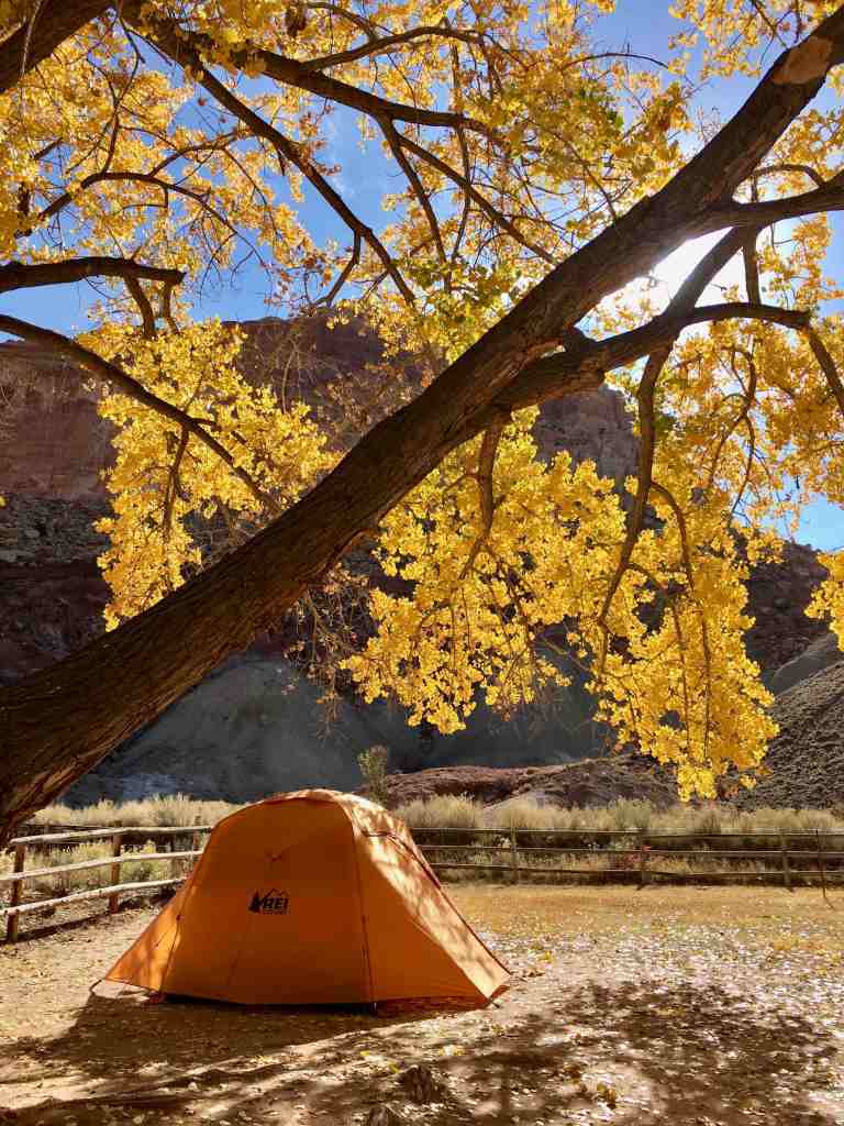 Gear Review REI Co-op Grand Hut 4 camping at Capitol Reef National Park