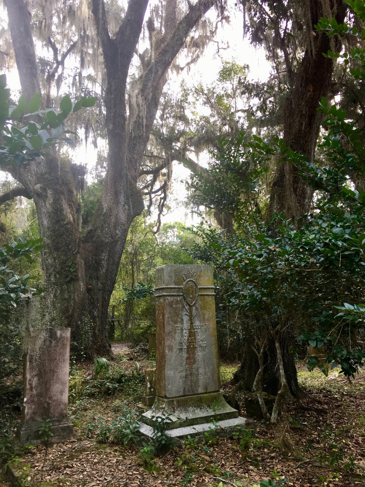 Historic cemetery in Micanopy, Florida
