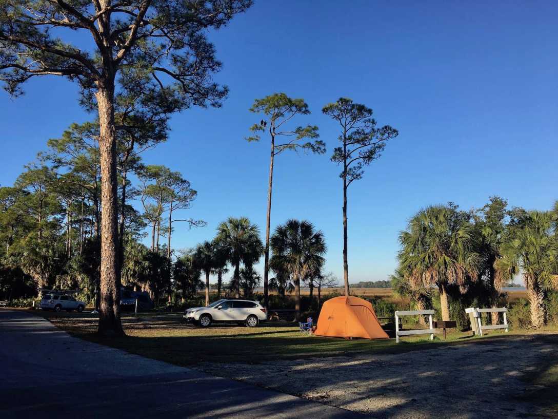 Waterfront campsites at Shell Mound campground Levy County Park Cedar Key