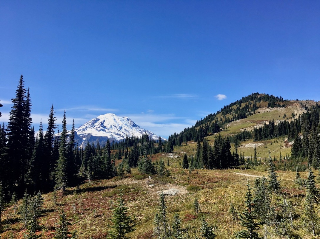View of Mount Rainier from the Naches Peak loop trail in Mount Rainier National Park